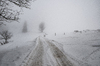 invierno en la montaña